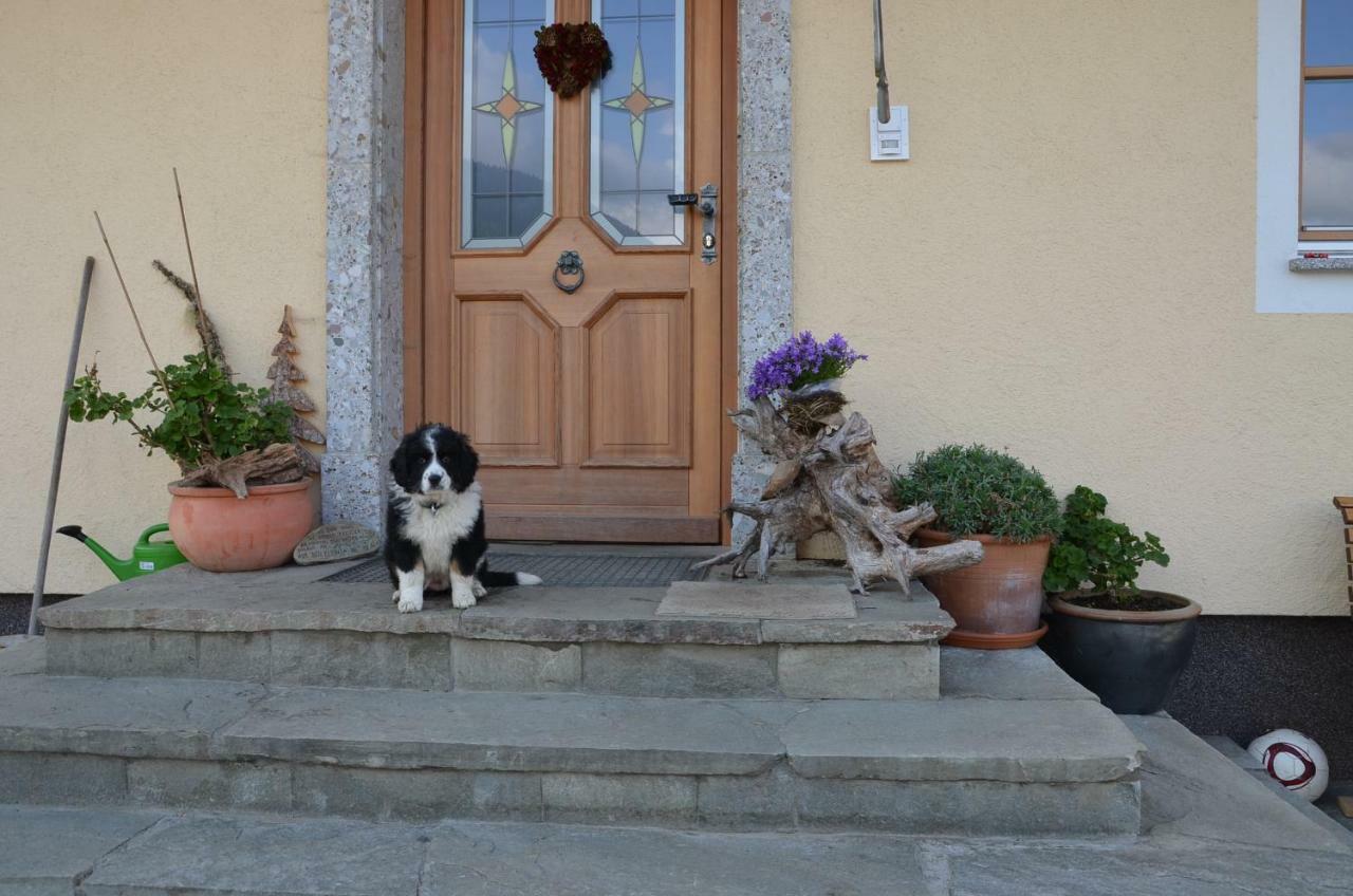 Aubauer Villa Bischofshofen Buitenkant foto