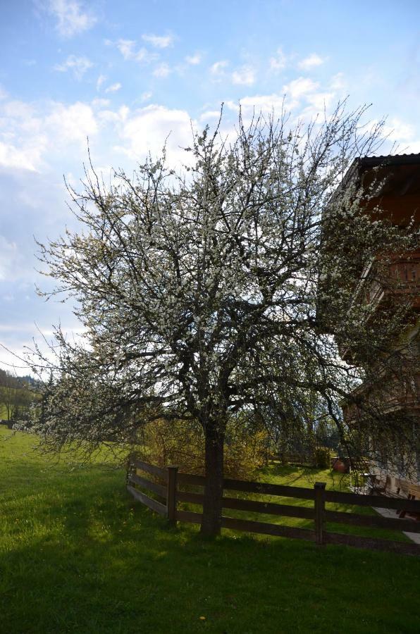 Aubauer Villa Bischofshofen Buitenkant foto