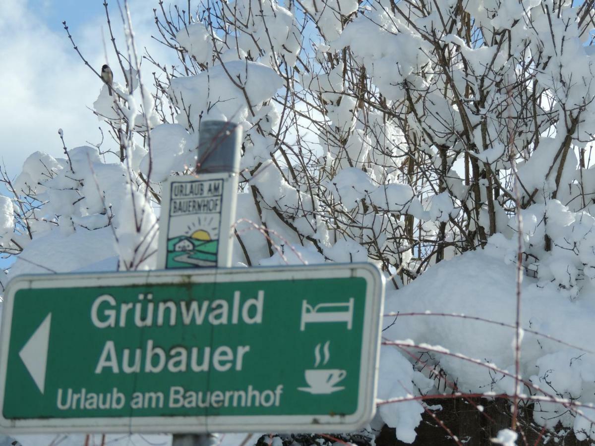 Aubauer Villa Bischofshofen Buitenkant foto