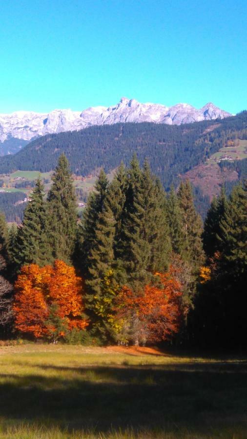 Aubauer Villa Bischofshofen Buitenkant foto