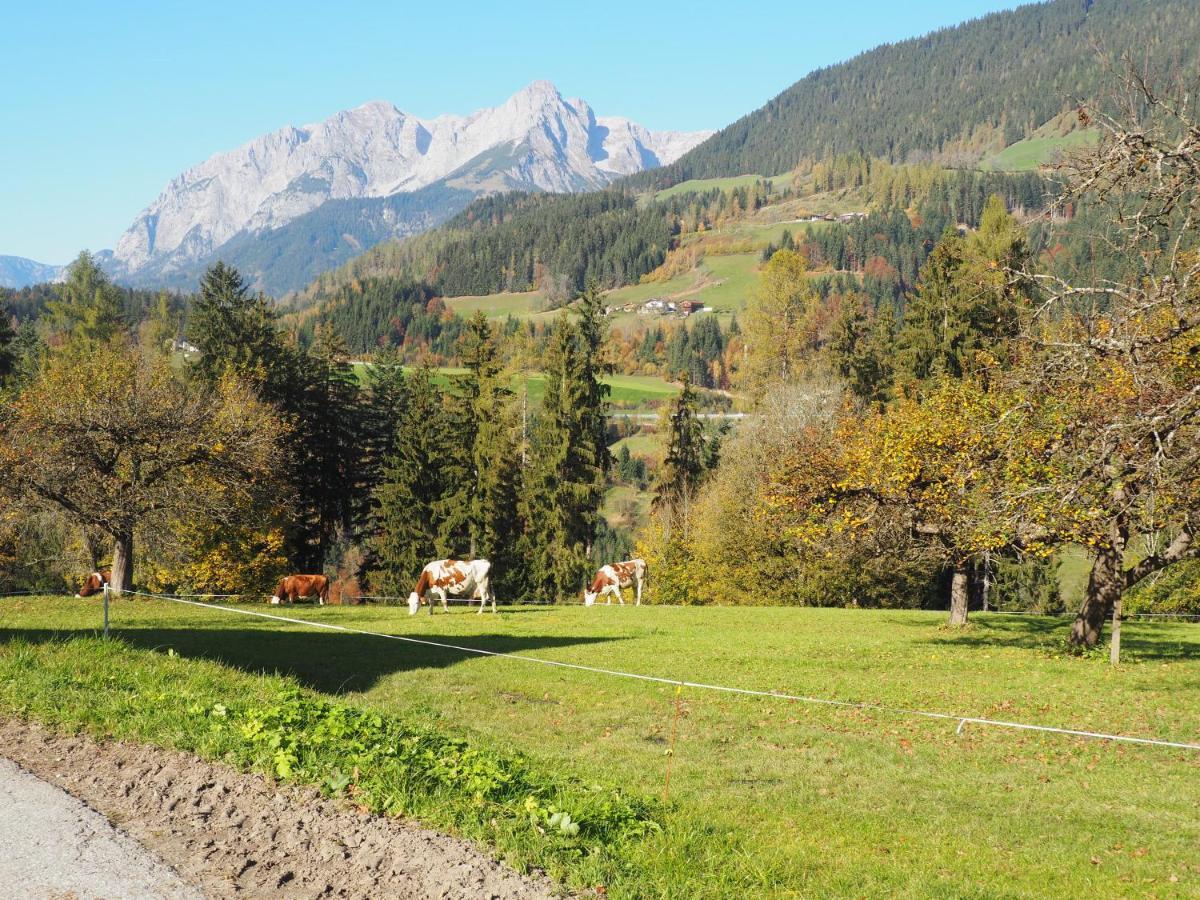 Aubauer Villa Bischofshofen Buitenkant foto